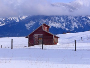 Little red barn in snow.